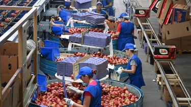 La exportación de peras y manzanas desde Río Negro y Neuquén cayó en el primer trimestre de 2026