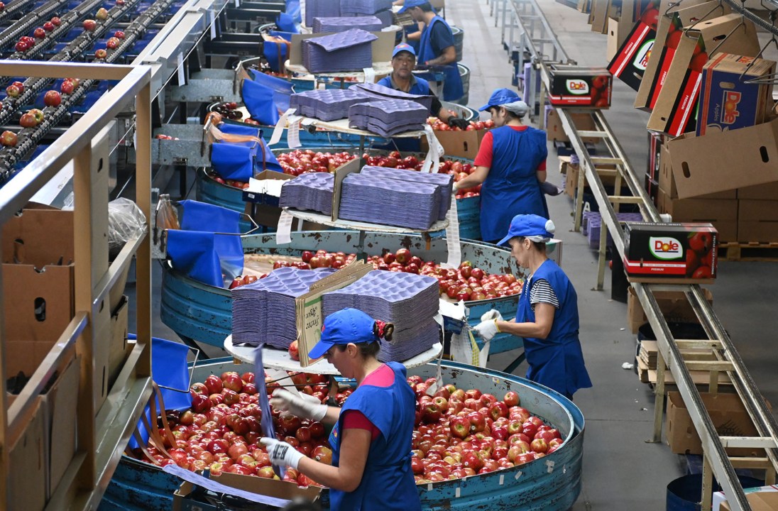 Dole National Company SA busca integrar a los productores de peras y manzanas de Río Negro y Neuquén, a fin de que la oferta se adapte a los cambios en la demanda.