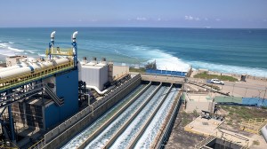 Producir sin lluvias: Marruecos bombea agua del mar para regar cultivos en el desierto