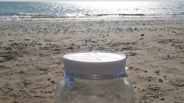 Un «enemigo invisible»: descubren microplásticos en las playas de Puerto Madryn y el Golfo Nuevo