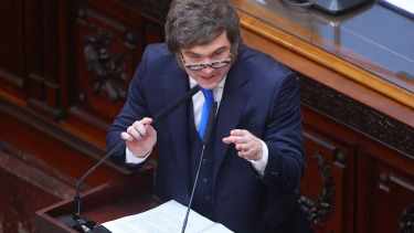 Apertura de Sesiones: las reformas que Javier Milei propuso ante el Congreso