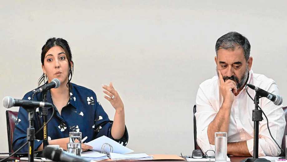 La comisión de Energía que preside Damián Canuto (PRO) y cuya secretaria es Cielubi Obreque (MPN) fue una de las pocas que no se suspendió. Foto Florencia Salto.