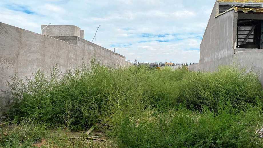 Los baldíos tienen una sobretasa que no entró en el botón de descuento neuquino por retributivos (foto Matía Subat)