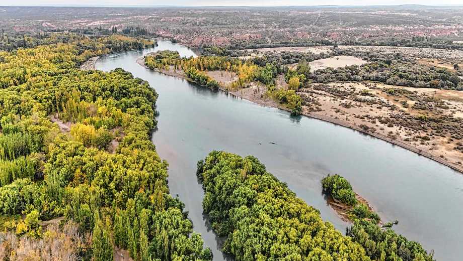 La unión de un brazo del río Neuquén con el cauce madre del Limay forma la vistosa confluencia de los ríos en Hiroki (foto Cecilia Maletti)