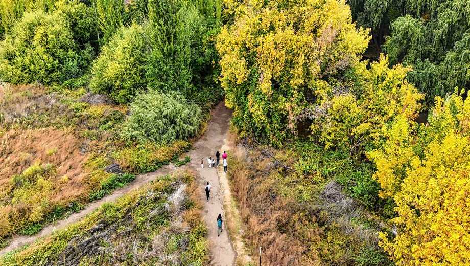 La península tiene cartelería interna de la flora y fauna en el lugar (foto Cecilia Maletti)