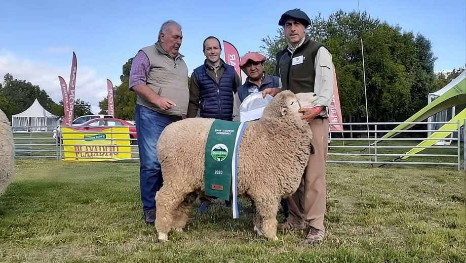 Ganadería ovina en la Patagonia. Foto: gentileza Cabaña Mi Gaucho.