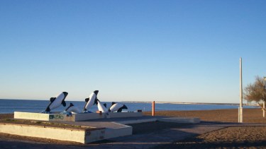 Sorpresa en una playa de Chubut: encontraron un cráneo humano dentro de una bolsa