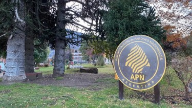 Parque Lanín cierra sendas por la temporada de caza 2026: hasta cuándo duran las restricciones y qué zonas sí abren