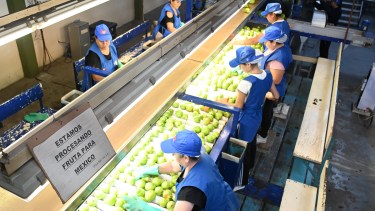 Río Negro tuvo un arranque del año con un 18% menos de ingresos por exportaciones