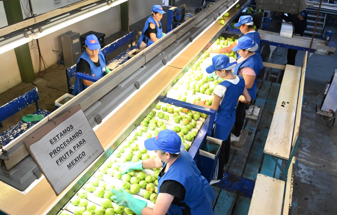 A México. La exportación se hace a través de la empresa familiar, o bien a través de la unidad de negocio que Dole tiene en Allen, Río Negro.