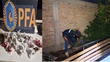 Policía Federal desmanteló dos búnkers de droga en Río Negro: la banda operaba en Cipolletti