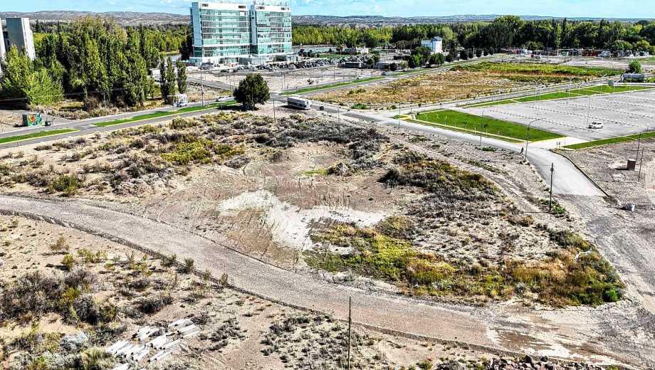 Miles de firmas integran un petitorio para suspender el proyecto oficial de construir el estadio Arena en la isla 132 (foto Cecilia Maletti)