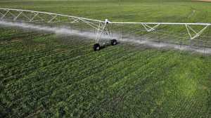 Nación oficializó el RIMI: las claves del nuevo plan para potenciar inversiones y dar alivio fiscal a las Pymes