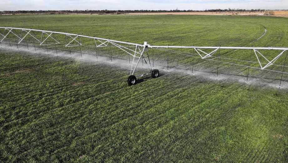 El riego por pivote central es una de las principales inversiones impulsadas por el RIMI para mejorar la eficiencia productiva en Neuquén y Río Negro. Foto: archivo Juan Thomes.
