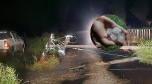 Imagen de Cortes de luz, postes caídos y techos volados: lo que dejó el temporal de granizo, lluvia y viento en Valle Medio