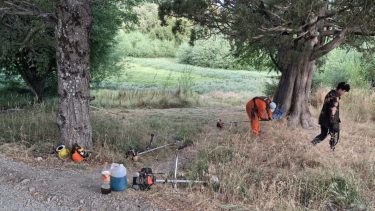 Sacaron una especie invasora de una laguna de Bariloche y hay polémica