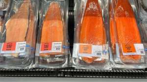 Del río Limay a Boston: las truchas de Neuquén llegaron a una prestigiosa feria de Estados Unidos