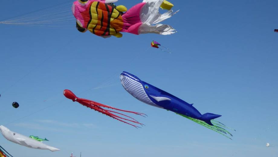 De la cordillera al mar, Río Negro arma su agenda de Semana Santa. Foto: archivo Marcelo Ochoa.