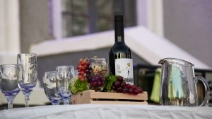 Villa Regina celebra la edición 46° de la Fiesta Provincial de la Vendimia