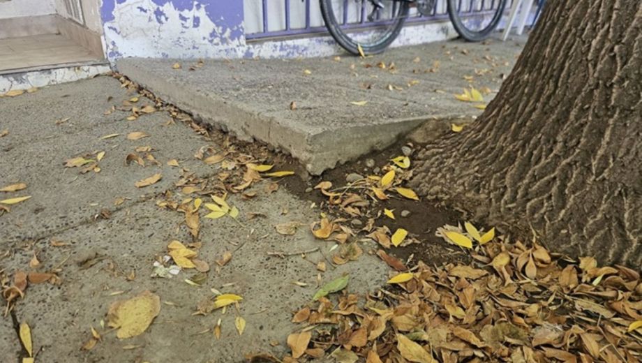 La multa en caso de no cumplir con lo establecido es automática, y se aplica con las tasas municipales. Foto: Municipalidad de Cipolletti. 