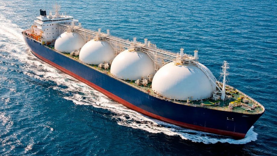 La empresa que resulte adjudicada actuará como intermediario entre el mercado internacional y la demanda local. Foto gentileza.