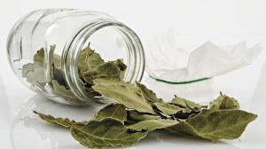 El ritual con laurel que mejora la energía de tu casa: cómo hacerlo paso a paso