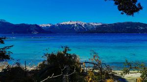 Del laboratorio al bosque: científicos argentinos y alemanes revelan las claves para cuidar ecosistemas de Patagonia norte 