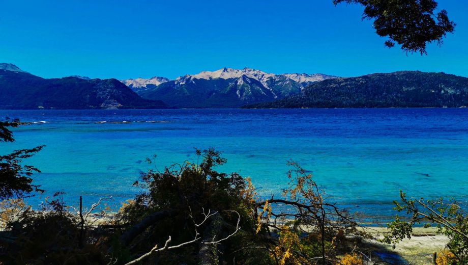 Las soluciones basadas en la naturaleza pueden mejorar la gestión de ecosistemas en la Patagonia norte