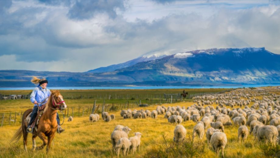 Esta imagen tomada en el Parque Nacional Torres del Paine ganó el primer premio/V. Goyal