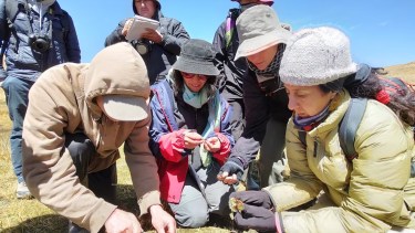 Una científica argentina fue distinguida entre las 25 mentes más brillantes del mundo por su aporte ambiental