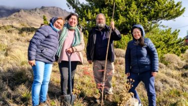 Plantan 90 árboles en un barrio de San Martín de los Andes: cada familia cuidará a un ejemplar