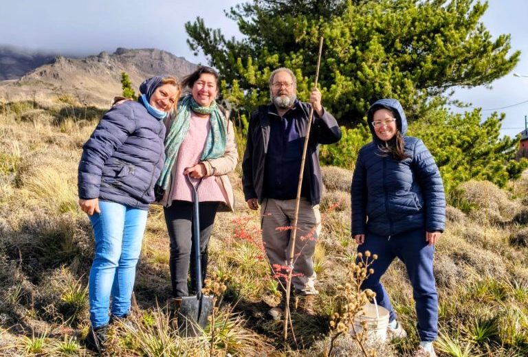 92 especies nativas ya crecen en las calles y espacios verdes. Foto: gentileza UNCo. 
