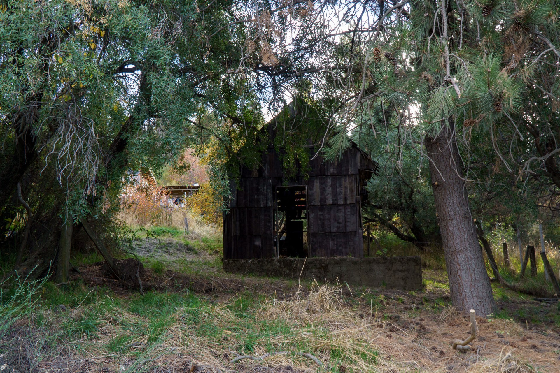 Los restos de una histórica casa de madera guardan secretos del antiguo Bariloche