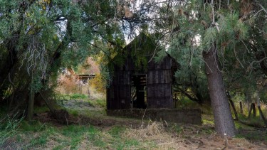 Las ruinas de la casa escondida que guarda secretos del antiguo Bariloche
