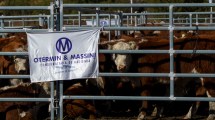 Imagen de Exitoso primer remate de hacienda general en Bariloche: 1.100 animales vendidos a precios firmes y un debut con identidad ganadera