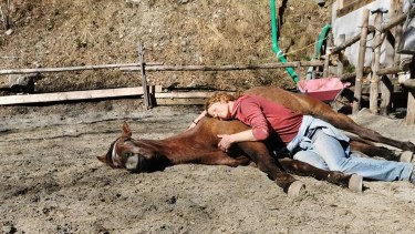 Llegó desde Suiza, escucha a los caballos, es experta en doma natural y ayuda a las personas