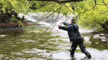 Ríos emblemáticos de Neuquén bajo vigilancia: por qué el monitoreo es clave para su conservación