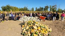 Imagen de De la tierra al plato: una cadena productiva que enseña y alimenta en la Universidad del Comahue