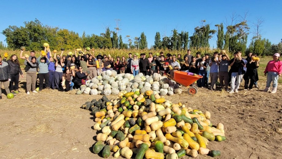 Tres variedades de zapallo y una gigantesca cosecha en la Facultad de Agronomía. Fotos: gentileza. 