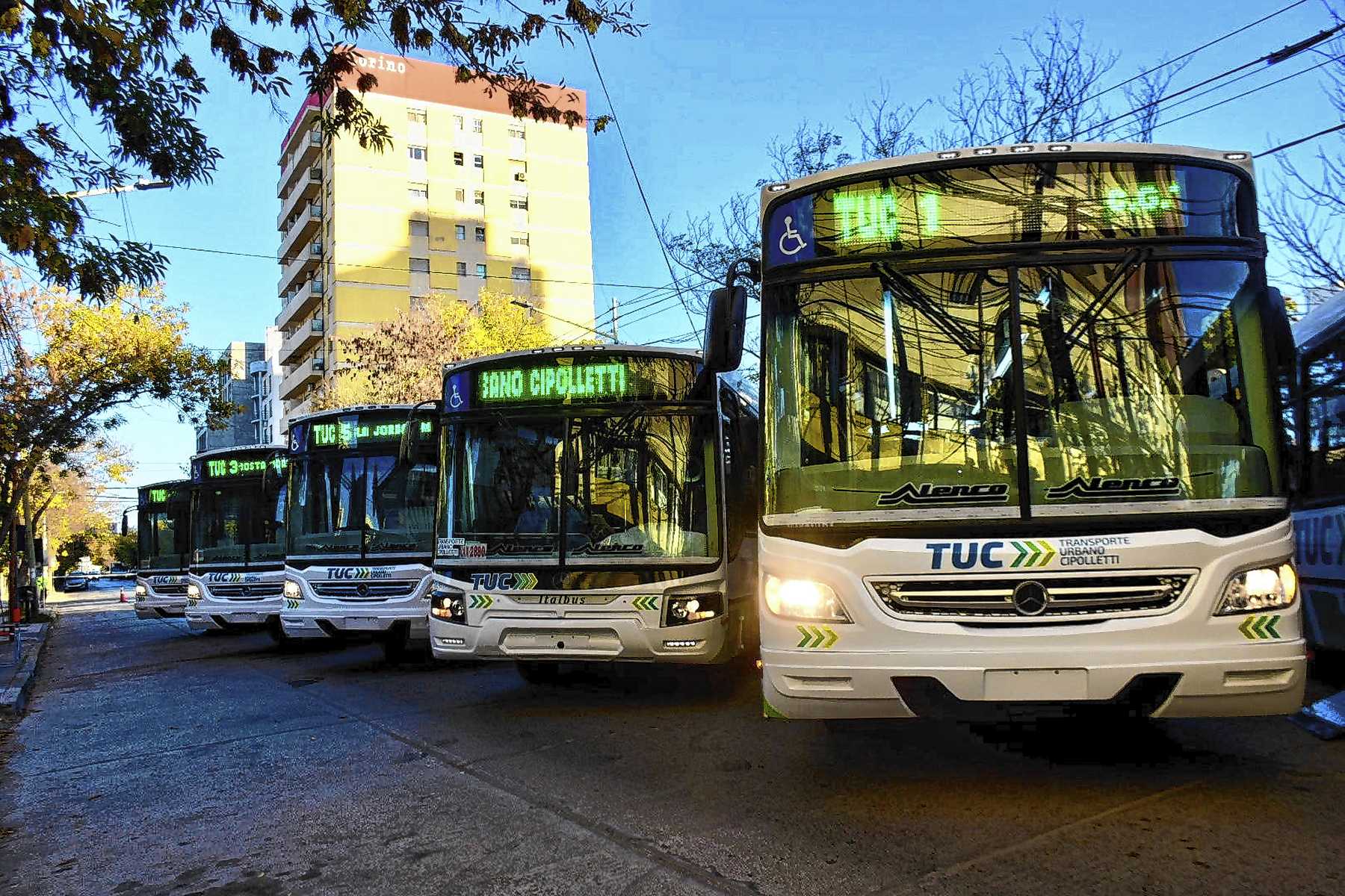 Cipolletti celebrará su 123° aniversario con festividades y transporte gratuito