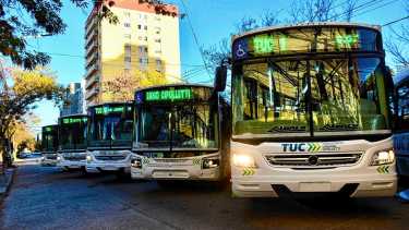 Colectivos gratis y un desfile con más de 200 instituciones: los detalles del aniversario de Cipolletti