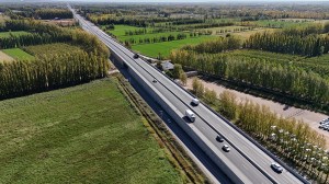 Federalismo desigual