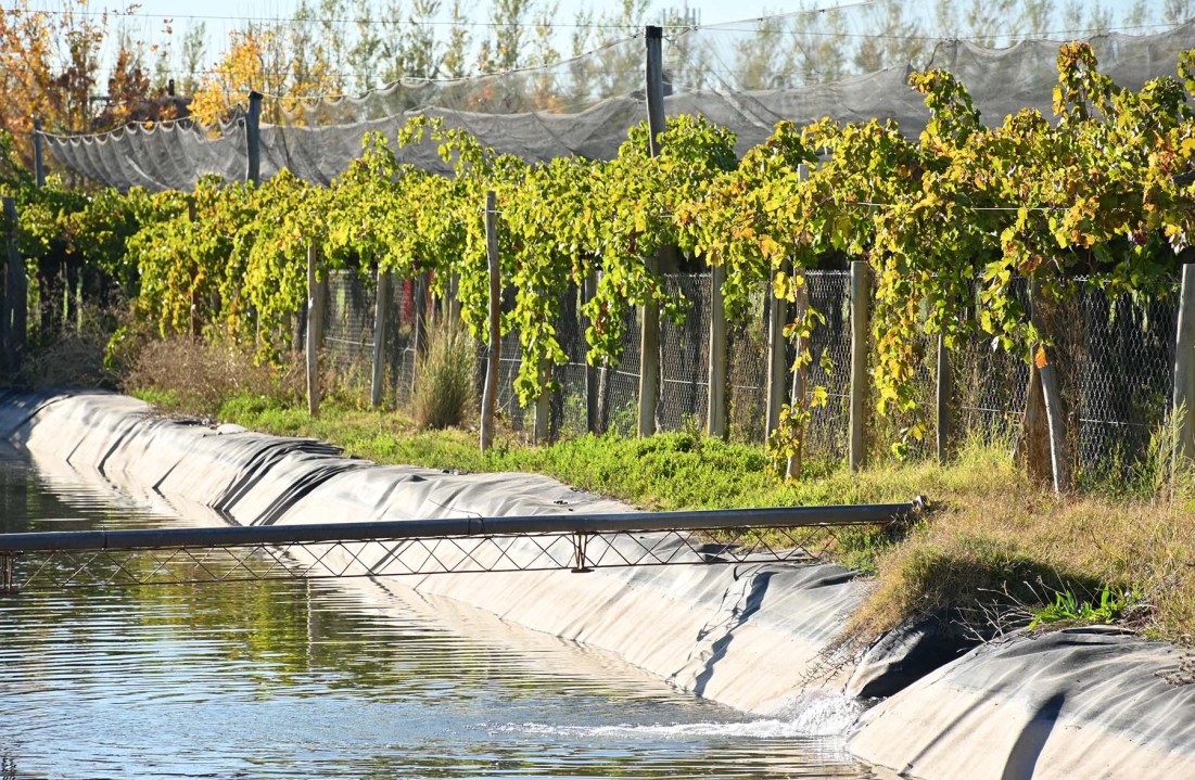 Agua en reservorio para abastacer tanto el riego por goteo como el riego por aspersión subarbóreo para defensa de heladas. Foto: Florencia Salto.