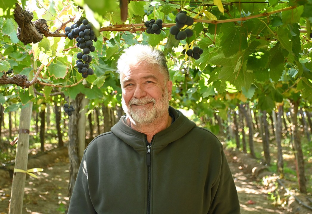 Gustavo Liss se convirtió en productor de uvas de mesa en la Patagonia luego de vender su casa familiar.
