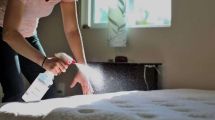 Imagen de Cómo limpiar el colchón: guía completa para eliminar ácaros y manchas efectivamente