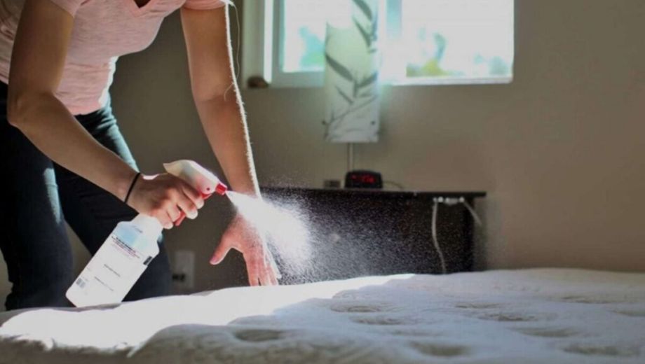 Cómo limpiar el colchón: El método definitivo para eliminar ácaros, manchas y olores persistentes.-