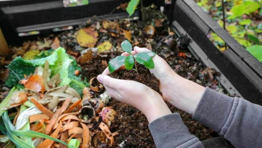 Guía práctica: cómo hacer compost en casa.-