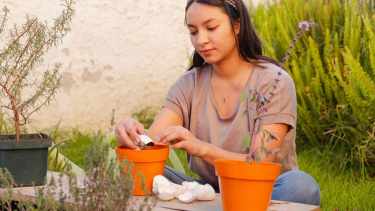 Compost sin olores: soluciones para errores comunes en tu hogar