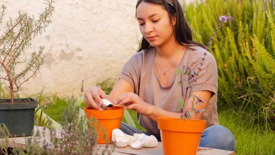 Cómo hacer compost en casa: una guía técnica para evitar errores clásicos.-