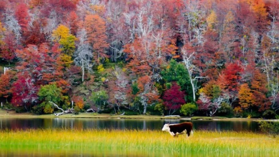 Condiciones climáticas en Patagonia: temperaturas y alertas para este martes 28 de abril 2026.-